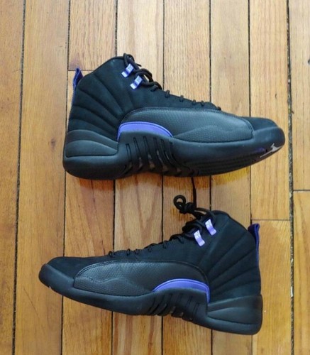 Air Jordan 12 Retro Dark Concord CT8013 