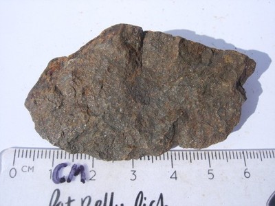 39.1 grams NWA 4526 Meteorite (class H4) as found in Africa + comes with a COA