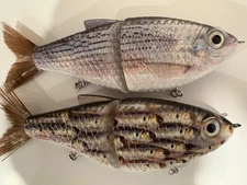 TYG Silencer Glide bait swimbait custom 7 inch 2 Glide baits KGB