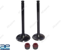 Motor Ventil Set FüR Royal Enfield Goan Klassisch Reborn Kugel Meteor Hunter 350