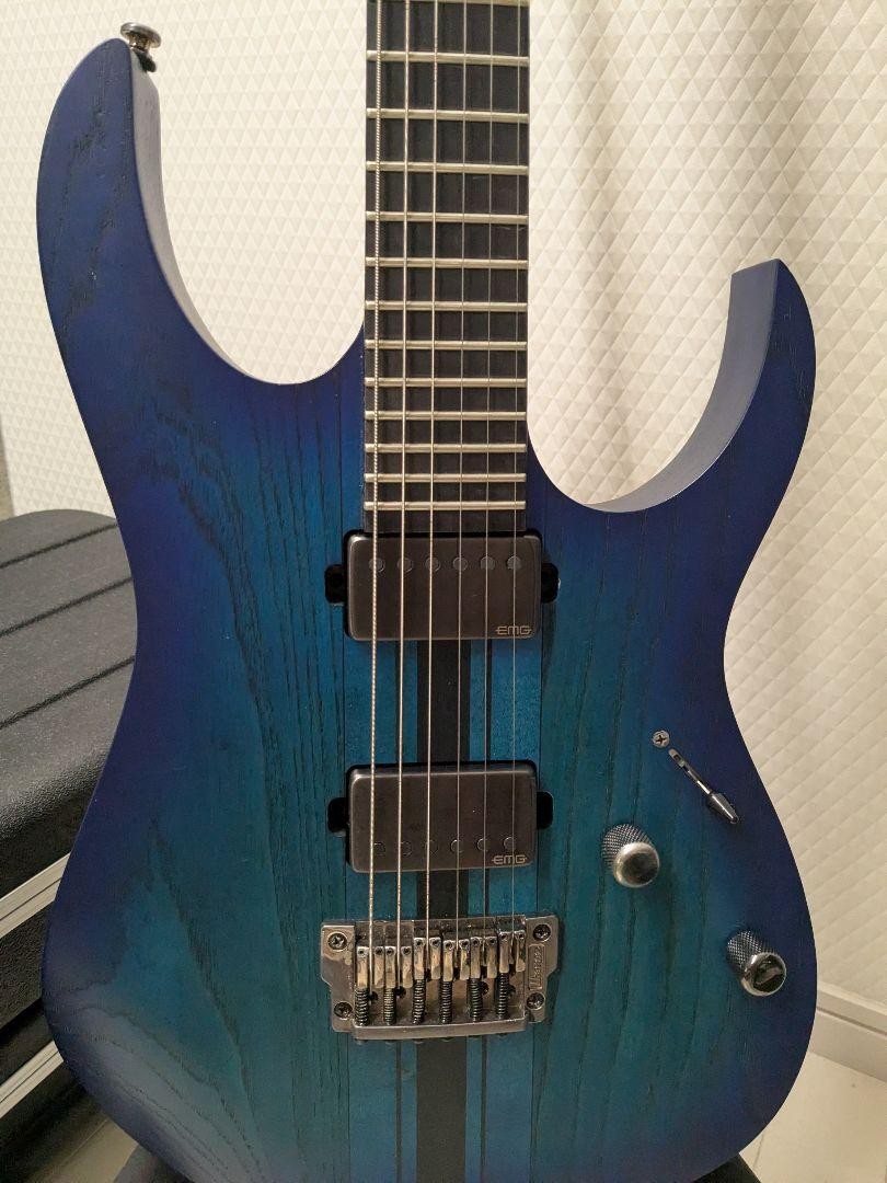 Ibanez rgit20fe sbf EMG 57/66 ハードケース付き Ibanez Rgit20Fe Sbf Emg 57/66 With Hard Case Safe delivery