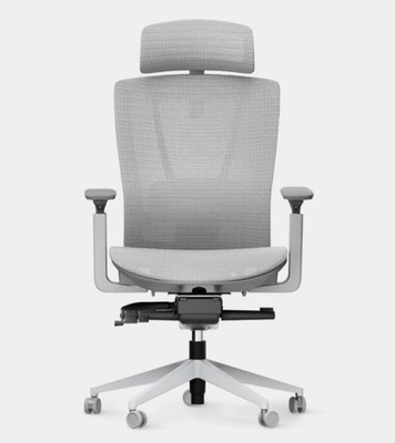 Autonomous ErgoChair Mesh Ergonomic Office Chair Adjustable Lumbar Headrest, Coo