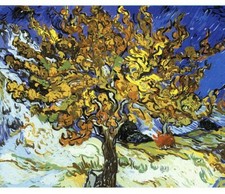 Paint By Numbers Adults Vincent van Gogh DIY Painting Kit 40x50CM Canvas