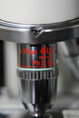 Nikon E Plan 40 Ph3 DL Objective (40/0.65 160/0.17)