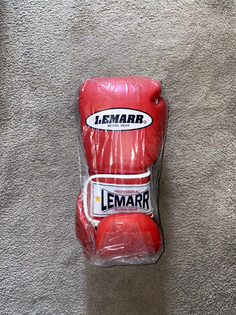 Lemarr 2025 boxing gloves