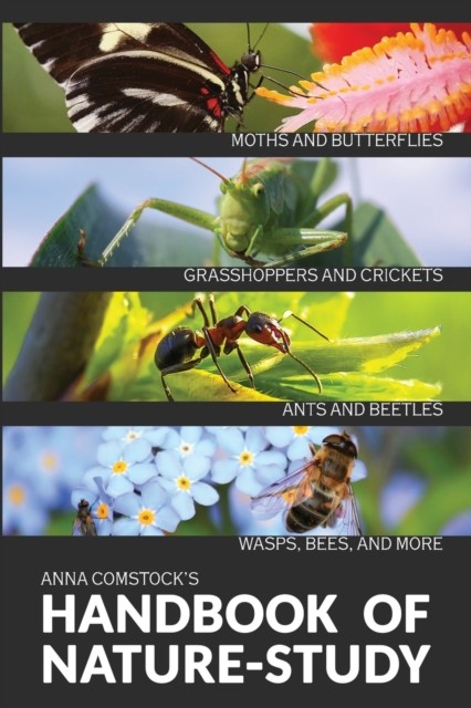The Handbook Of Nature Study in Color - Insects by Anna B Comstock PAPERBACK