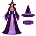 Ladies Purple Velvet Witch Halloween Costume Fancy Dress Outfit Hat Choker