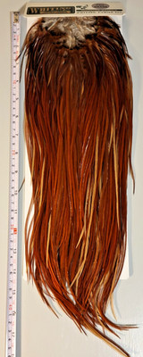 Whiting Hebert Miner, Medium Brown, Rooster Saddle, Pro Grade
