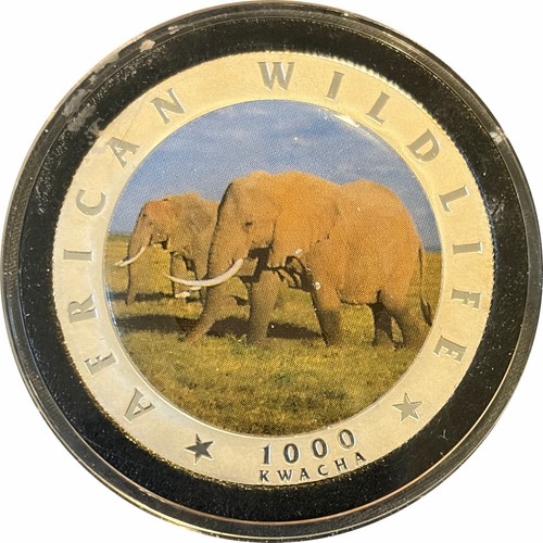 Zambia 1000 Kwacha Silver Colored Elephant African Wildlife Coin