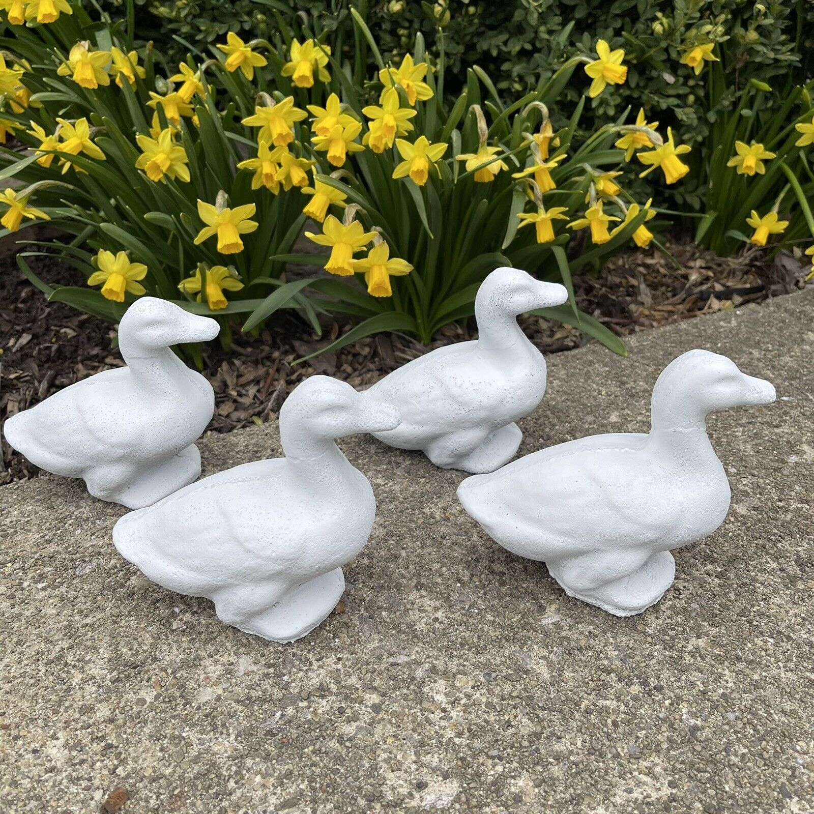 Scratch New products, world's highest quality popular! And Dent Lot cement duck 4.5” garden statue Concrete Our shop OFFers the best service duc