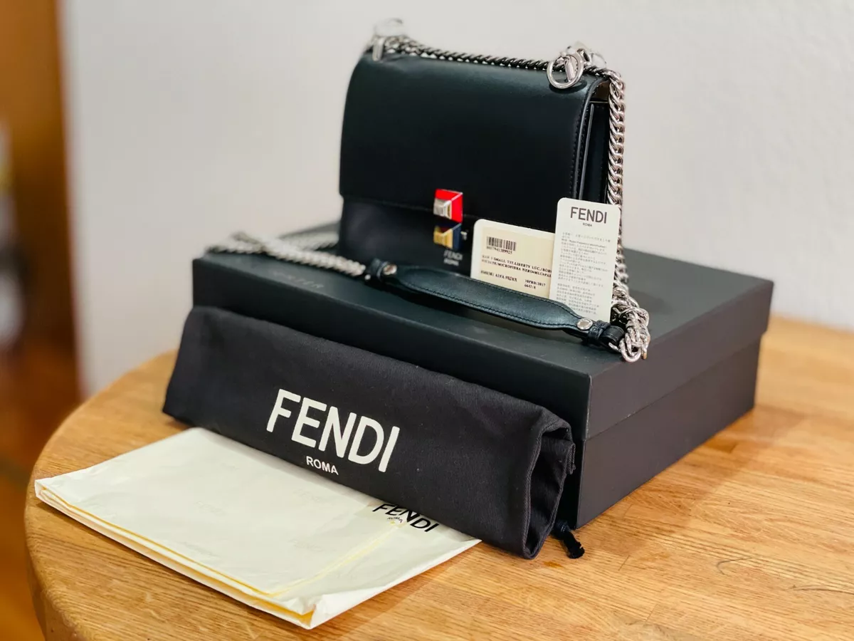 Fendi kan small new arrivals