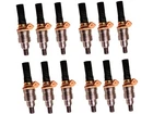 12PCS Flow Matched fuel Injectors for 1984-1991 Jaguar XJS, 5.3L V12