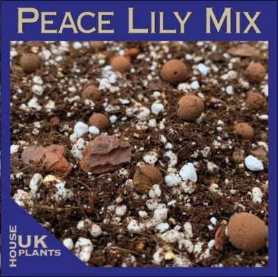 PEACE LILY Soil Mix (Pest-Free Spathiphyllum Wallisii Chopin Potting Compost)