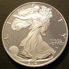 2021-W Silver American Eagle Type 2 (Eagle Landing) in Capsule