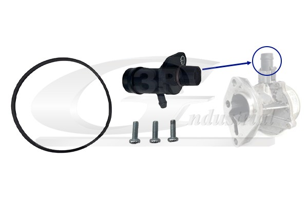 4x ✅Fits 3RG 74602 RENAULT PUMP SEAL KIT  ⭐UK Seller⭐