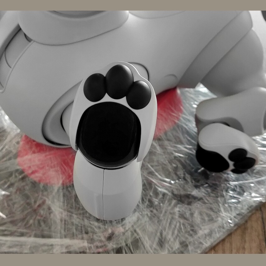 Sony Aibo Ers-1000 Robot Dog Robot Dog Boxed Express Preorder