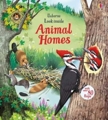 Look Inside Animal Homes by Emily Bone: New