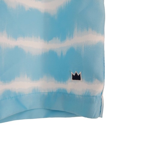 Crown & Ivy Kids Board Swim Shorts Aqua Blue Stripe Lined Trunks NWT Boys XL - Picture 3 of 9