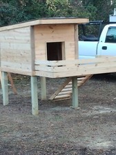 New Dog Town House  Keeps Your Pets Dry and Warm  Selling Out Fast 