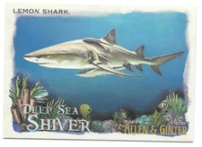 2021 Allen & Ginter LEMON SHARK  Deep Sea Shiver #DDS-7