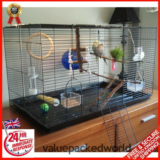 Novelty Parrot Bird Automatic Feeder Feeding Water Birds Budgie