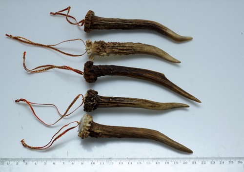  Schöner weihnachtlicher Baumschmuck aus 5 echten Geweihstangen - Bild 1 von 2