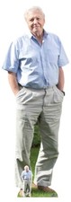 David Attenborough Lifesize and FREE Mini Cardboard Cutout / Standee / Standup