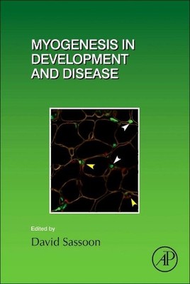 David Sassoon Myogenesis in Development and Disease (Gebundene Ausgabe)