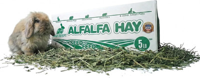 Alfalfa Hay, Protein Rich Soft Leaf Food for Young Growing Animals, Natural Rabb