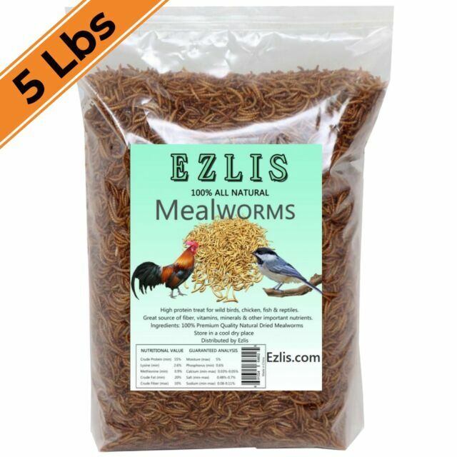 1lbs BULK Dried Mealworms for Wild Birds Food Blue Bird Chickens Hen Treats for sale online eBay