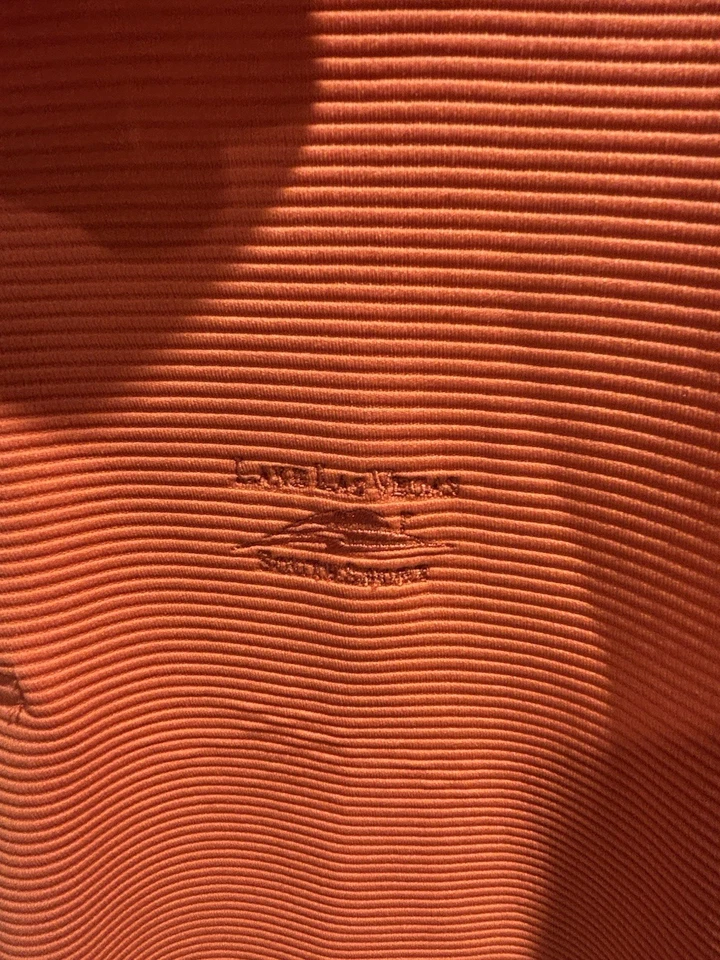 Lake Las Vegas 南岸 Polo 高尔夫衬衫,尺寸 L。 Tehama 短袖。 — 第 2/4 张图片