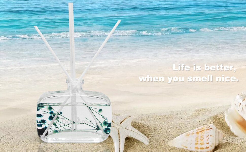 Reed Diffuser Set with Sticks, Daroma Dry Flower Aromatherapy for Home & Office.