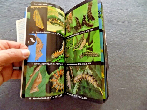 NATIONAL AUDUBON SOCIETY FIELD GUIDE TO NORTH AMERICAN BUTTERFLIES , NEW - Picture 22 of 23