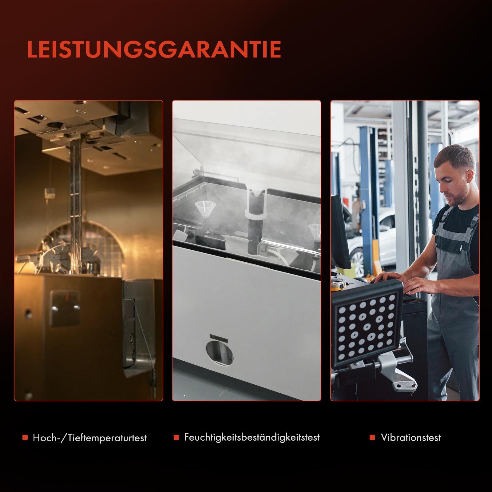 Bild 6 von 8