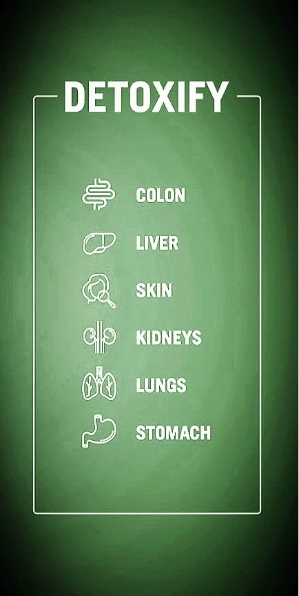 Cápsulas de musgo marino irlandés - 100 unidades - BOOST ENERGY & HEALTH - envío gratuito Foto 2 de 4