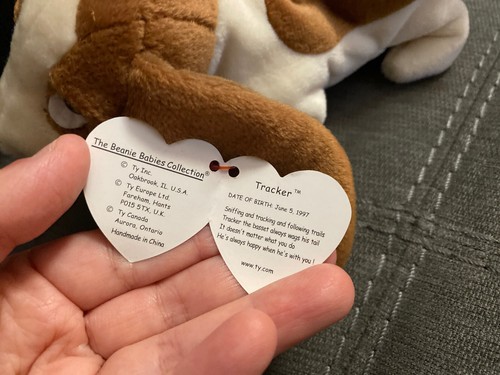 TY Beanie Baby Tracker Basset Hound 1998 *Retired* - Picture 7 of 7