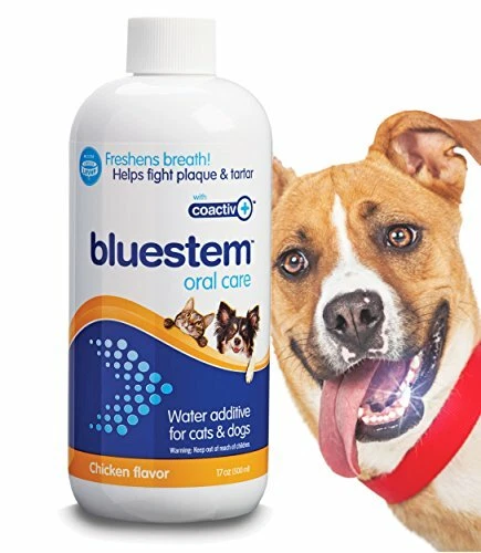 Fresh breath water cheap additive for dogs reviews