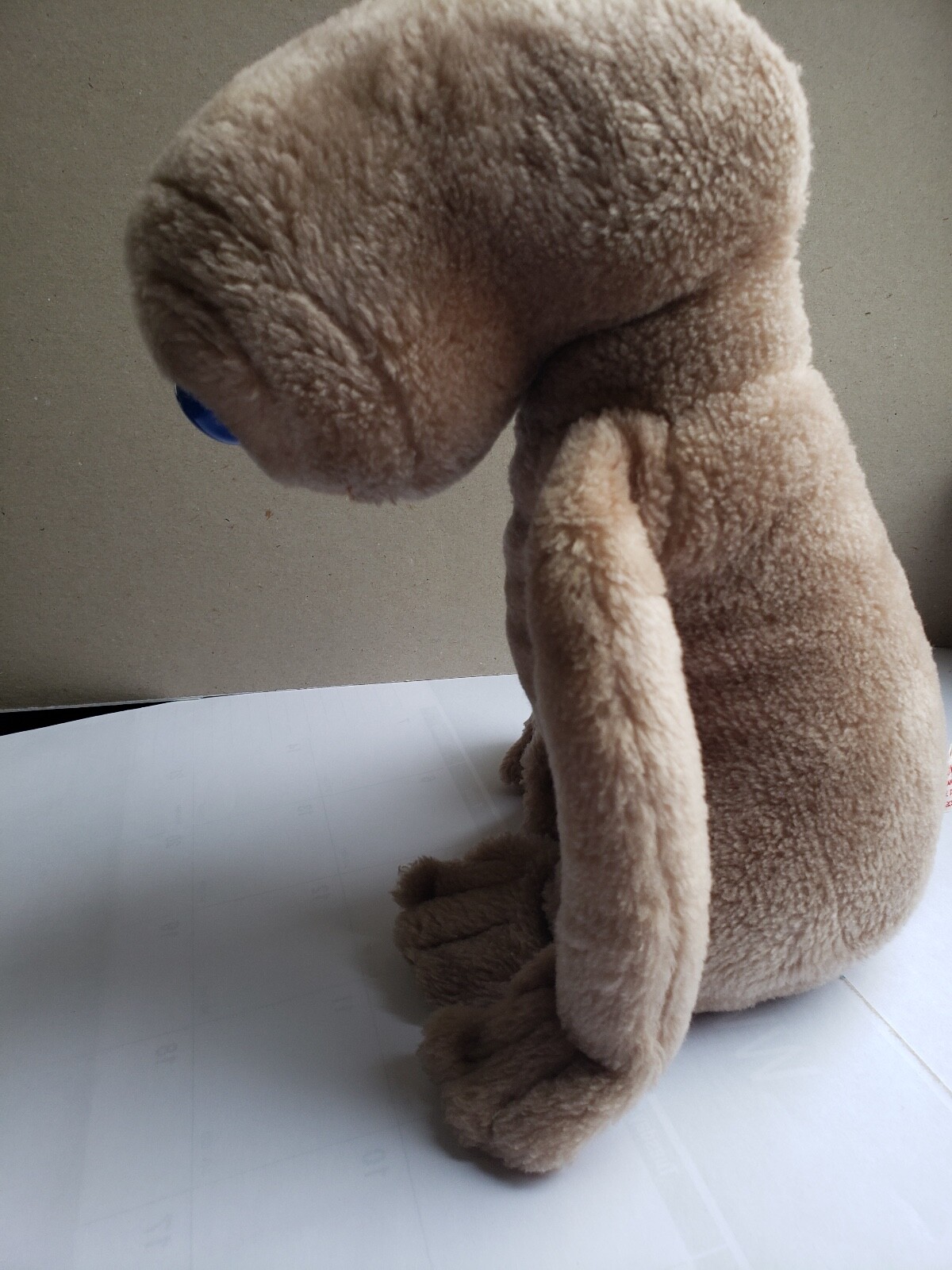 Bild 4 von 6