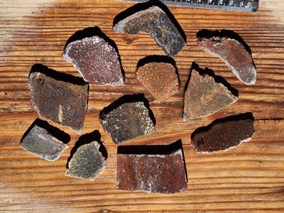 Dinosaur Preforms For Cabs And Jewelry.  High Quality, Amazing Colors  11 pieces