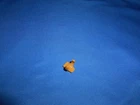 1990 GI JOE ARAH CAPTAIN GRID IRON BLOCKING PAD PART ACCESSORY