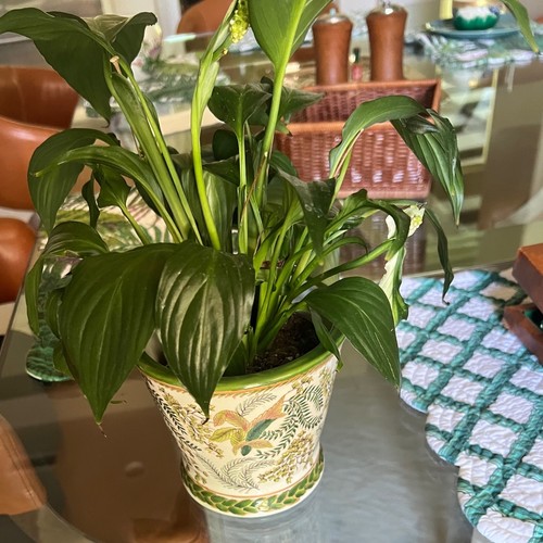 Crackle Glaze Porcelain Fern Floral Wong Lee Like Planter Vase Cache Pot