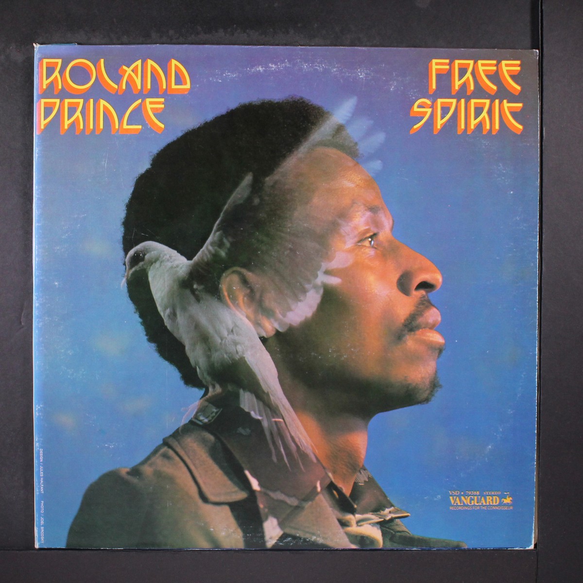 ROLAND PRINCE: free spirit VANGUARD 12