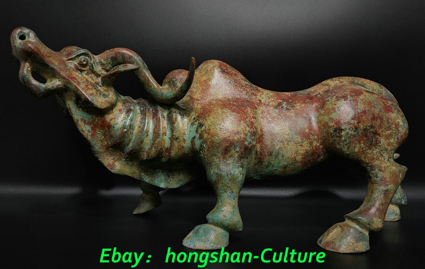 Foto 1 di 9