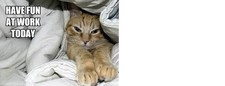 Funny Cat  refrigerator magnet 3 1/2x 4 1/2"