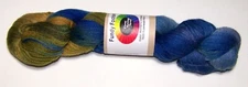 4 oz skein of Done Roving FUNDY FOOTSEE Superwash Sock Yarn MARINERS COMPASS