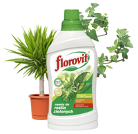 GrüNpflanzen FlüSsigdüNger Yucca Palmen Efeu Ficus DüNger FüR 100L GießWasser 1L