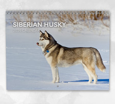 Siberian Husky Calendar 2026: Monthly Wall Calendar with Notes, opens to A3 Size