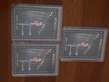 Ric Flair Cage Match WCW Card Lot