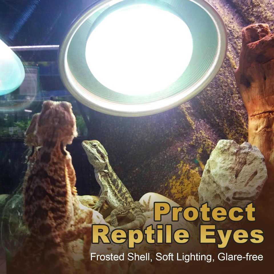 8-Quart Digital Air Fryer