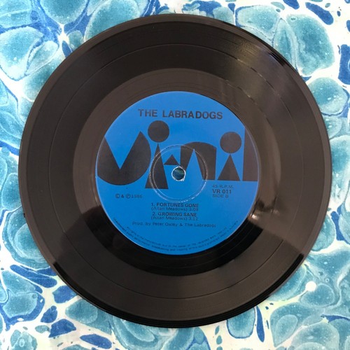 THE LABRADOGS- GET LONELY- 7'' 45 Vinyl Single E.P Record AUS Alt Indie Powerpop - Picture 4 of 4